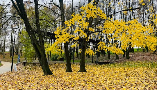 Mistrzejowice
